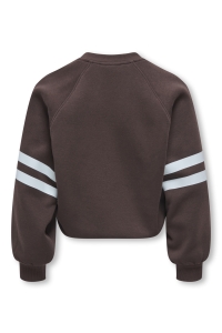 ONLY KOGCOLETTA L/S V-NECK PRINT SWT coffee bean/club