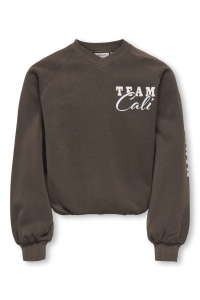 ONLY KOGCOLETTA L/S V-NECK PRINT SWT bracken/san diego