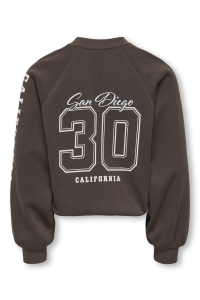 ONLY KOGCOLETTA L/S V-NECK PRINT SWT bracken/san diego