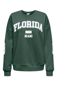 ONLY ONLVICTORY L/S O-NECK FIT SWT pineneedle/florida (bright white