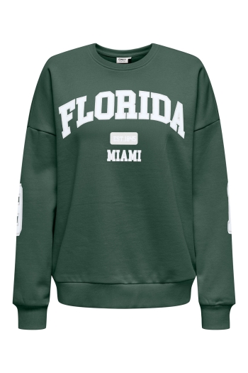 ONLY ONLVICTORY L/S O-NECK FIT SWT