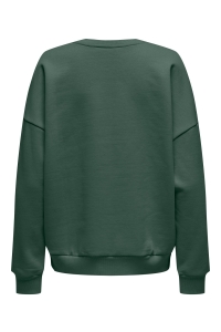 ONLY ONLVICTORY L/S O-NECK FIT SWT pineneedle/florida (bright white