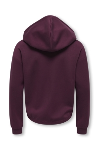 ONLY KOGADA-COOPER HEART L/S HOOD FR SWT: fig/fig emb. heart