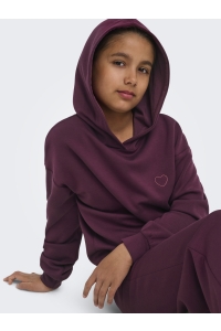 ONLY KOGADA-COOPER HEART L/S HOOD FR SWT: fig/fig emb. heart