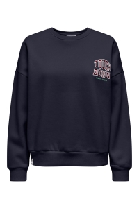 ONLY ONLRILLO L/S BOXY O-NECK CS SWT night sky/touchdown