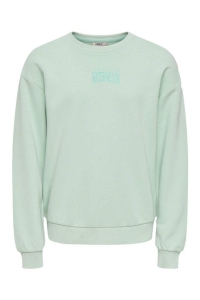ONLY KOGPHILEA LIFE L/S LOOSE UB VD SWT : aqua foam/watermelon