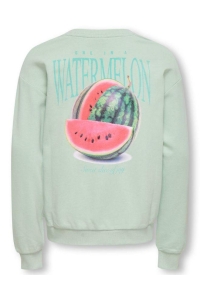 ONLY KOGPHILEA LIFE L/S LOOSE UB VD SWT : aqua foam/watermelon