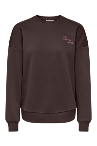 ONLY ONLZENJA BOXY L/S BOX PRI CS SWT coffee bean/atelier cyclamen