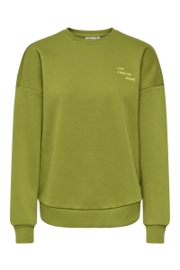 ONLY ONLZENJA BOXY L/S BOX PRI CS SWT cardamom seed/atelier