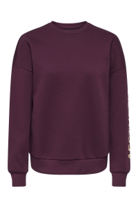 ONLY ONLZENJA BOXY L/S BOX PRI CS SWT fig/aesthetic