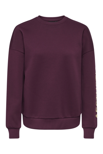 ONLY ONLZENJA BOXY L/S BOX PRI CS SWT