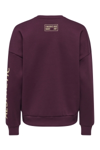 ONLY ONLZENJA BOXY L/S BOX PRI CS SWT fig/aesthetic