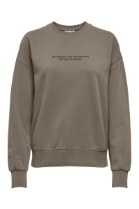 ONLY ONLCATRIN L/S O-NECK PRINT BOX UB S: fallen rock/optimism