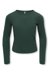 ONLY KOGLUCKY L/S O NECK TOP JRS NOOS june bug