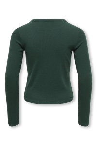 ONLY KOGLUCKY L/S O NECK TOP JRS NOOS june bug