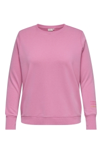 Carmakoma CARMAYA L/S O-NECK SWEAT JRS wild orchid/print + faux wash