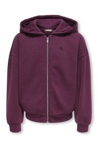 ONLY KOGAMAZE LS ZIP HOODIE SWT fig