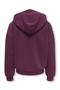 ONLY KOGAMAZE LS ZIP HOODIE SWT fig