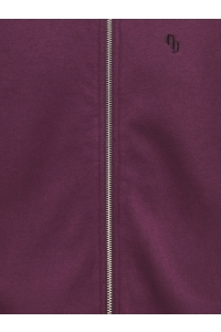 ONLY KOGAMAZE LS ZIP HOODIE SWT fig