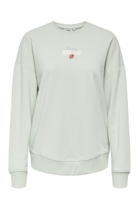 ONLY ONLKITA L/S SWEAT BOX UB CS SWT green lily/dream back