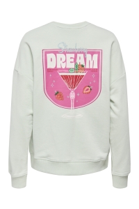 ONLY ONLKITA L/S SWEAT BOX UB CS SWT green lily/dream back