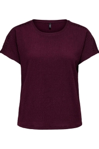 ONLY ONLDEBBIE S/S DETAIL TOP CC JRS fig
