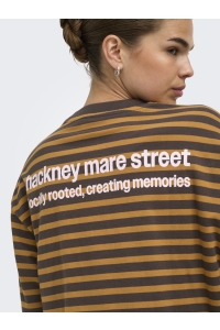 ONLY ONLFREJA L/S STRIPE TOP CC JRS bracken/buckthorn (ida) print vi