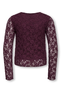 ONLY KOGLEIKA LS LACE TOP JRS NOOS fig