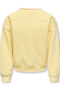 ONLY KOGSWEAT L/S BACK/SLEEVE PRINT SWT : mellow yellow/night sky/florida