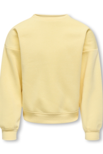 ONLY KOGSWEAT L/S BACK/SLEEVE PRINT SWT :