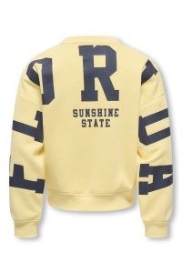 ONLY KOGSWEAT L/S BACK/SLEEVE PRINT SWT : mellow yellow/night sky/florida