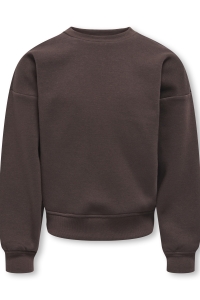 ONLY KOGSWEAT L/S BACK/SLEEVE PRINT SWT : coffee bean/birch/houston