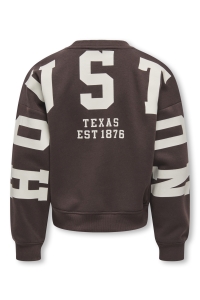 ONLY KOGSWEAT L/S BACK/SLEEVE PRINT SWT : coffee bean/birch/houston