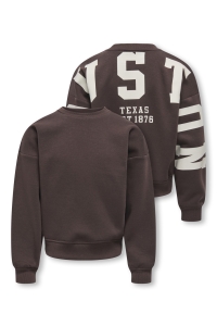 ONLY KOGSWEAT L/S BACK/SLEEVE PRINT SWT : coffee bean/birch/houston