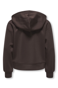 ONLY KOGADA LS DETAILED HOOD SWT coffee bean/label/coffee bean