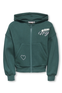 ONLY KOGDITTE LS ZIP HOOD OVZ SWT june bug/active