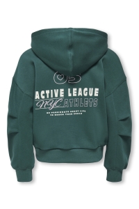 ONLY KOGDITTE LS ZIP HOOD OVZ SWT june bug/active