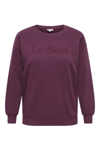 Carmakoma CARVIOLETTA L/S O-NECK PRINT SWEAT : fig/le soir