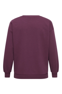 Carmakoma CARVIOLETTA L/S O-NECK PRINT SWEAT : fig/le soir