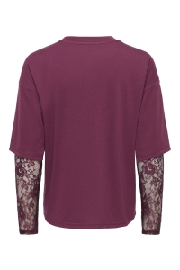 ONLY ONLTAHLIA L/S LACE TOP PR JRS fig/dtm lace