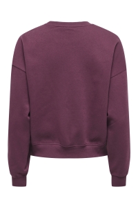 ONLY ONLBEAUTY L/S CREW NECK CS SWT fig/lace pale lilac