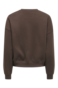 ONLY ONLBEAUTY L/S CREW NECK CS SWT coffee bean/lace irish cream