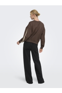 ONLY ONLBEAUTY L/S CREW NECK CS SWT coffee bean/lace irish cream