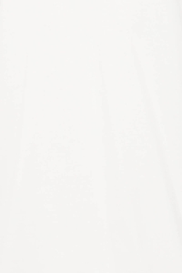 ICHI IHPALMONI SS:T-Shirts cloud dancer