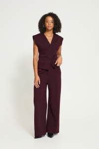 ICHI IHKATE SPARKELLY WIDE PA:Pants fudge