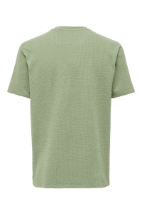 ONLY&SONS ONSKIAN LIFE REG SEERSUCKER SS TEE : seagrass