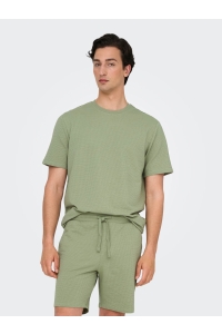 ONLY&SONS ONSKIAN LIFE REG SEERSUCKER SS TEE : seagrass