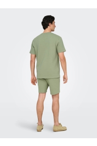ONLY&SONS ONSKIAN LIFE REG SEERSUCKER SS TEE : seagrass