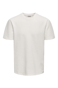 ONLY&SONS ONSKIAN LIFE REG SEERSUCKER SS TEE : cloud dancer