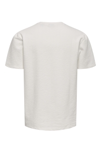 ONLY&SONS ONSKIAN LIFE REG SEERSUCKER SS TEE : cloud dancer